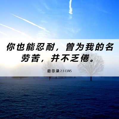 Picture 06 - 启 示 录 2:3 CUVS - 你 也 能 忍 耐 ， 曾 为 我 的 名 劳 - Bible Verse Picture