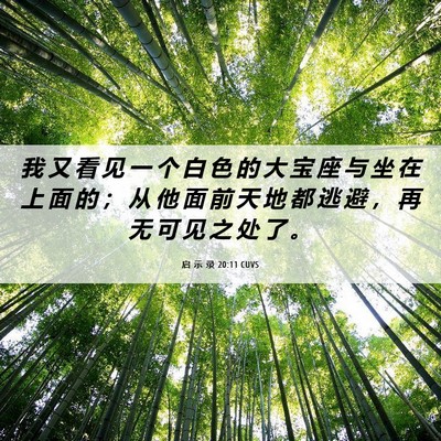 Picture 06 - 启 示 录 20:11 CUVS - 我 又 看 见 一 个 白 色 的 大 宝 座 - Bible Verse Picture