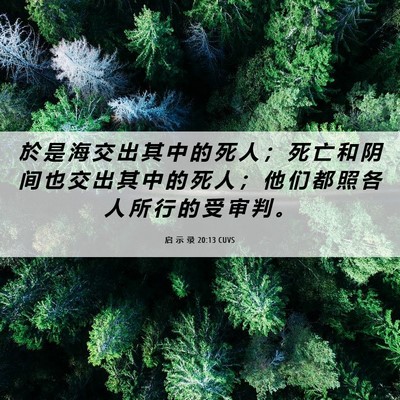 Picture 06 - 启 示 录 20:13 CUVS - 於 是 海 交 出 其 中 的 死 人 ； 死 - Bible Verse Picture