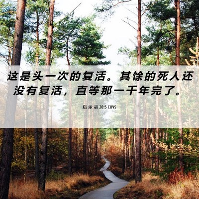 Picture 06 - 启 示 录 20:5 CUVS - 这 是 头 一 次 的 复 活 。 其 馀 的 - Bible Verse Picture