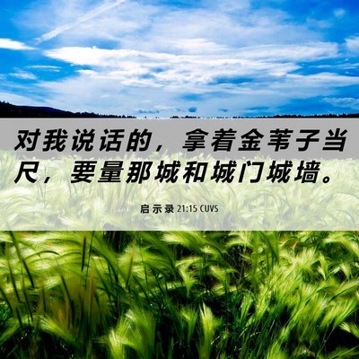 Picture 06 - 启 示 录 21:15 CUVS - 对 我 说 话 的 ， 拿 着 金 苇 子 当 - Bible Verse Picture