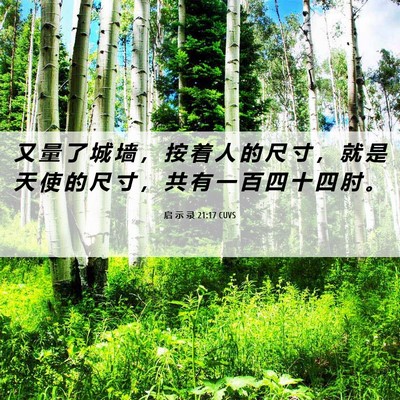 Picture 06 - 启 示 录 21:17 CUVS - 又 量 了 城 墙 ， 按 着 人 的 尺 寸 - Bible Verse Picture
