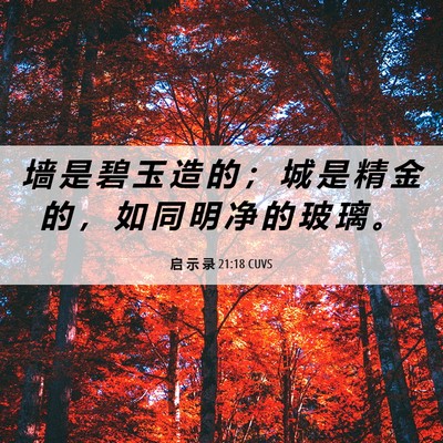 Picture 06 - 启 示 录 21:18 CUVS - 墙 是 碧 玉 造 的 ； 城 是 精 金 的 - Bible Verse Picture