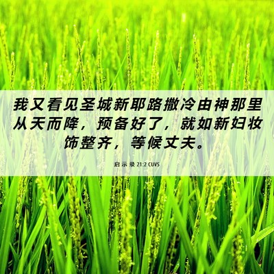 Picture 06 - 启 示 录 21:2 CUVS - 我 又 看 见 圣 城 新 耶 路 撒 冷 由 - Bible Verse Picture