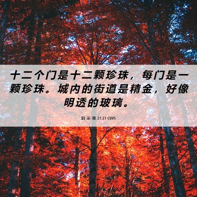 Picture 06 - 启 示 录 21:21 CUVS - 十 二 个 门 是 十 二 颗 珍 珠 ， 每 - Bible Verse Picture