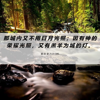 Picture 06 - 启 示 录 21:23 CUVS - 那 城 内 又 不 用 日 月 光 照 ； 因 - Bible Verse Picture