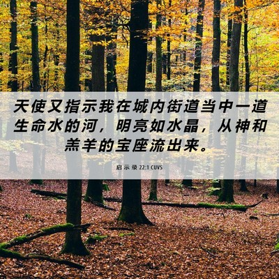 Picture 06 - 启 示 录 22:1 CUVS - 天 使 又 指 示 我 在 城 内 街 道 当 - Bible Verse Picture