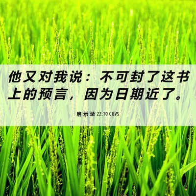 Picture 06 - 启 示 录 22:10 CUVS - 他 又 对 我 说 ： 不 可 封 了 这 书 - Bible Verse Picture