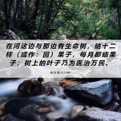Picture 06 - 启 示 录 22:2 CUVS - 在 河 这 边 与 那 边 有 生 命 树 ， - Bible Verse Picture