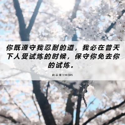 Picture 06 - 启 示 录 3:10 CUVS - 你 既 遵 守 我 忍 耐 的 道 ， 我 必 - Bible Verse Picture