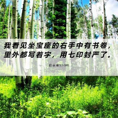Picture 06 - 启 示 录 5:1 CUVS - 我 看 见 坐 宝 座 的 右 手 中 有 书 - Bible Verse Picture
