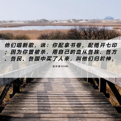 Picture 06 - 启 示 录 5:9 CUVS - 他 们 唱 新 歌 ， 说 ： 你 配 拿 书 - Bible Verse Picture