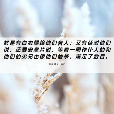 Picture 06 - 启 示 录 6:11 CUVS - 於 是 有 白 衣 赐 给 他 们 各 人 ； - Bible Verse Picture