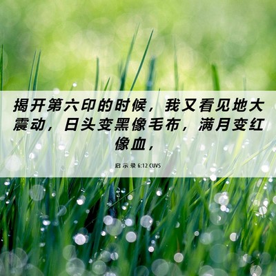 Picture 06 - 启 示 录 6:12 CUVS - 揭 开 第 六 印 的 时 候 ， 我 又 看 - Bible Verse Picture