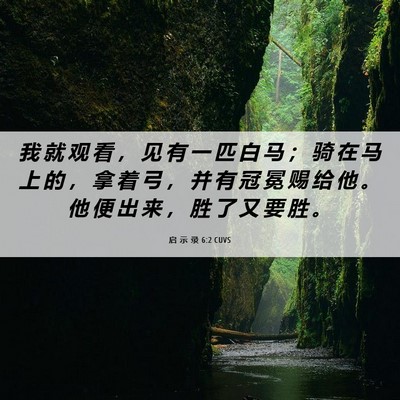 Picture 06 - 启 示 录 6:2 CUVS - 我 就 观 看 ， 见 有 一 匹 白 马 ； - Bible Verse Picture