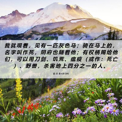 Picture 06 - 启 示 录 6:8 CUVS - 我 就 观 看 ， 见 有 一 匹 灰 色 马 - Bible Verse Picture