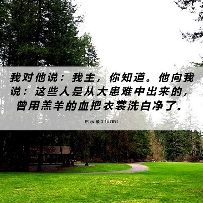 Picture 06 - 启 示 录 7:14 CUVS - 我 对 他 说 ： 我 主 ， 你 知 道 。 - Bible Verse Picture