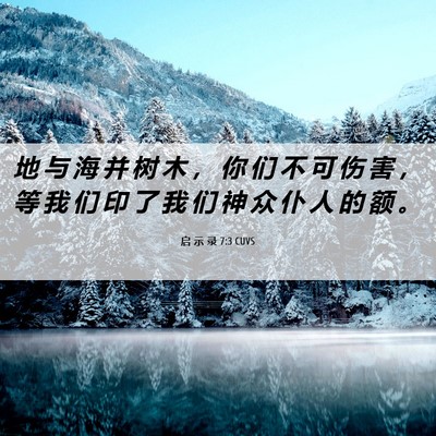 Picture 06 - 启 示 录 7:3 CUVS - 地 与 海 并 树 木 ， 你 们 不 可 伤 - Bible Verse Picture