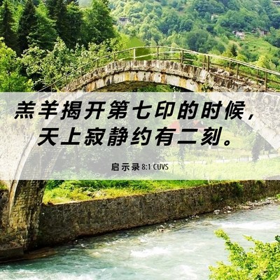 Picture 06 - 启 示 录 8:1 CUVS - 羔 羊 揭 开 第 七 印 的 时 候 ， 天 - Bible Verse Picture