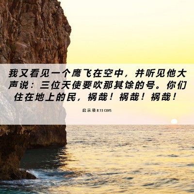 Picture 06 - 启 示 录 8:13 CUVS - 我 又 看 见 一 个 鹰 飞 在 空 中 ， - Bible Verse Picture