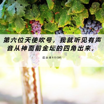 Picture 06 - 启 示 录 9:13 CUVS - 第 六 位 天 使 吹 号 ， 我 就 听 见 - Bible Verse Picture
