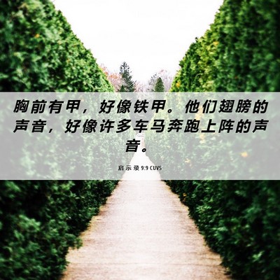 Picture 06 - 启 示 录 9:9 CUVS - 胸 前 有 甲 ， 好 像 铁 甲 。 他 们 - Bible Verse Picture
