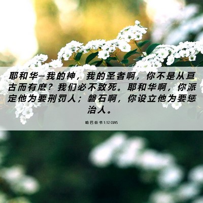 Picture 06 - 哈 巴 谷 书 1:12 CUVS - 耶 和 华 ─ 我 的 神 ， 我 的 圣 者 - Bible Verse Picture