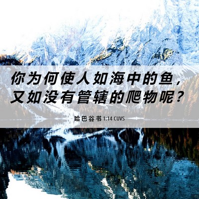 Picture 06 - 哈 巴 谷 书 1:14 CUVS - 你 为 何 使 人 如 海 中 的 鱼 ， 又 - Bible Verse Picture