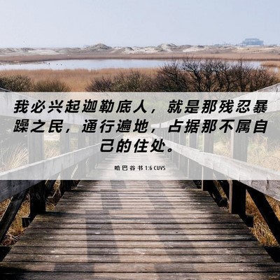 Picture 06 - 哈 巴 谷 书 1:6 CUVS - 我 必 兴 起 迦 勒 底 人 ， 就 是 那 - Bible Verse Picture