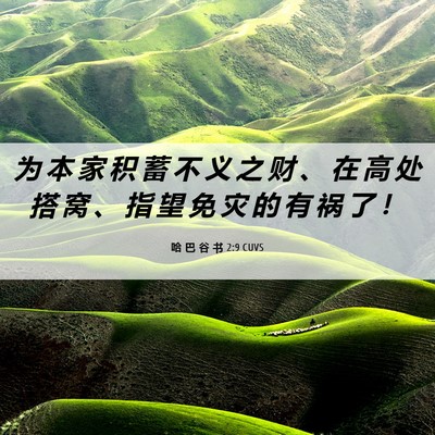 Picture 06 - 哈 巴 谷 书 2:9 CUVS - 为 本 家 积 蓄 不 义 之 财 、 在 高 - Bible Verse Picture