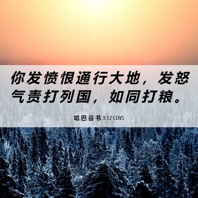 Picture 06 - 哈 巴 谷 书 3:12 CUVS - 你 发 愤 恨 通 行 大 地 ， 发 怒 气 - Bible Verse Picture