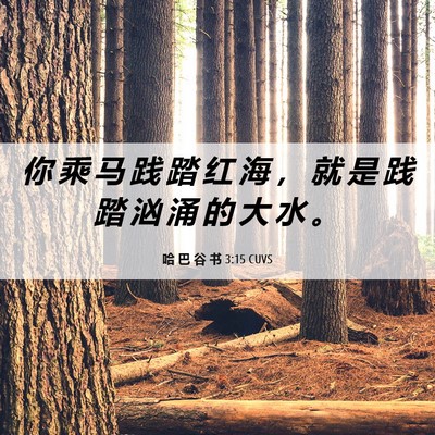Picture 06 - 哈 巴 谷 书 3:15 CUVS - 你 乘 马 践 踏 红 海 ， 就 是 践 踏 - Bible Verse Picture