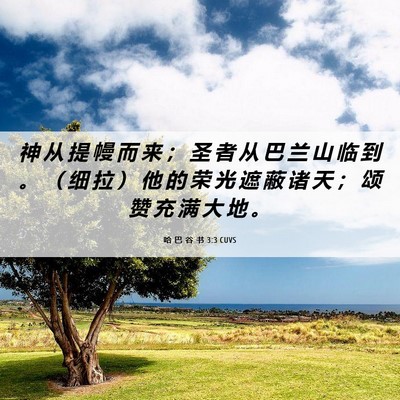 Picture 06 - 哈 巴 谷 书 3:3 CUVS - 神 从 提 幔 而 来 ； 圣 者 从 巴 兰 - Bible Verse Picture
