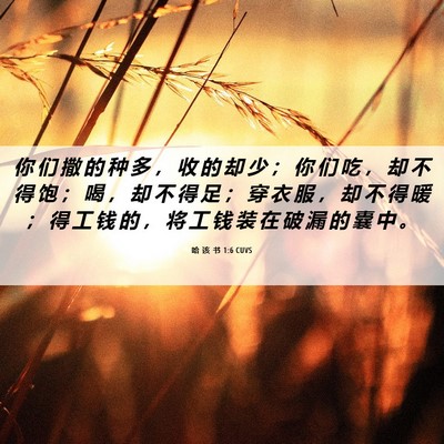 Picture 06 - 哈 该 书 1:6 CUVS - 你 们 撒 的 种 多 ， 收 的 却 少 ； - Bible Verse Picture