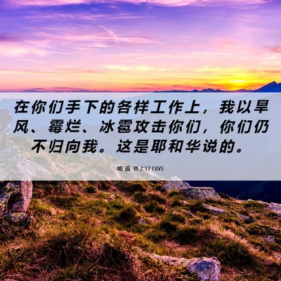 Picture 06 - 哈 该 书 2:17 CUVS - 在 你 们 手 下 的 各 样 工 作 上 ， - Bible Verse Picture