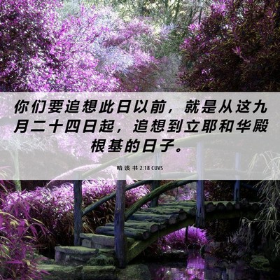 Picture 06 - 哈 该 书 2:18 CUVS - 你 们 要 追 想 此 日 以 前 ， 就 是 - Bible Verse Picture