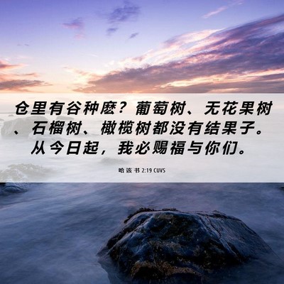Picture 06 - 哈 该 书 2:19 CUVS - 仓 里 有 谷 种 麽 ？ 葡 萄 树 、 无 - Bible Verse Picture