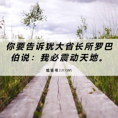 Picture 06 - 哈 该 书 2:21 CUVS - 你 要 告 诉 犹 大 省 长 所 罗 巴 伯 - Bible Verse Picture