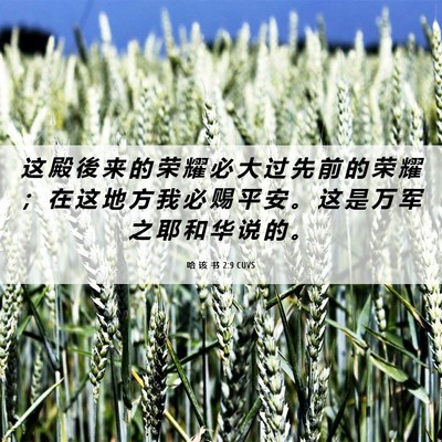 Picture 06 - 哈 该 书 2:9 CUVS - 这 殿 後 来 的 荣 耀 必 大 过 先 前 - Bible Verse Picture