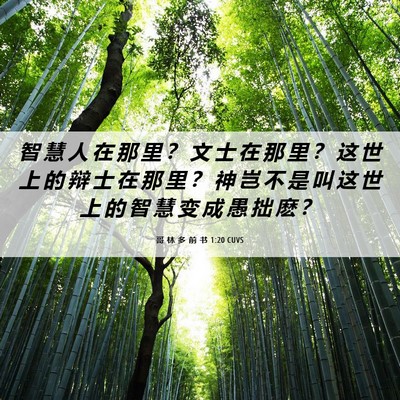 Picture 06 - 哥 林 多 前 书 1:20 CUVS - 智 慧 人 在 那 里 ？ 文 士 在 那 里 - Bible Verse Picture