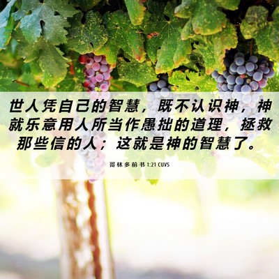 Picture 06 - 哥 林 多 前 书 1:21 CUVS - 世 人 凭 自 己 的 智 慧 ， 既 不 认 - Bible Verse Picture