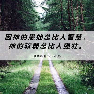 Picture 06 - 哥 林 多 前 书 1:25 CUVS - 因 神 的 愚 拙 总 比 人 智 慧 ， 神 - Bible Verse Picture