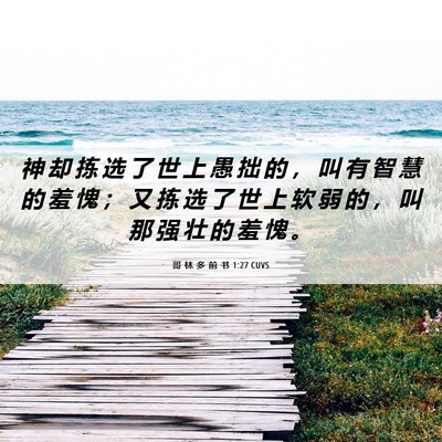 Picture 06 - 哥 林 多 前 书 1:27 CUVS - 神 却 拣 选 了 世 上 愚 拙 的 ， 叫 - Bible Verse Picture