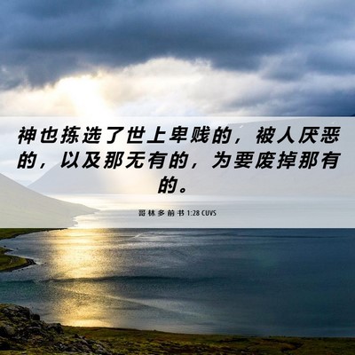 Picture 06 - 哥 林 多 前 书 1:28 CUVS - 神 也 拣 选 了 世 上 卑 贱 的 ， 被 - Bible Verse Picture