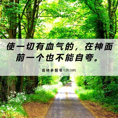 Picture 06 - 哥 林 多 前 书 1:29 CUVS - 使 一 切 有 血 气 的 ， 在 神 面 前 - Bible Verse Picture