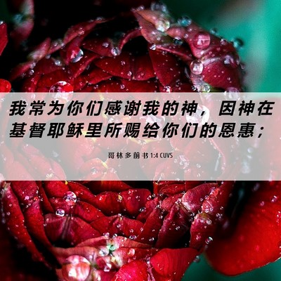 Picture 06 - 哥 林 多 前 书 1:4 CUVS - 我 常 为 你 们 感 谢 我 的 神 ， 因 - Bible Verse Picture