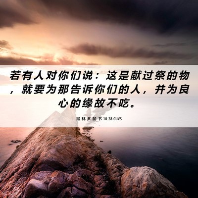 Picture 06 - 哥 林 多 前 书 10:28 CUVS - 若 有 人 对 你 们 说 ： 这 是 献 过 - Bible Verse Picture