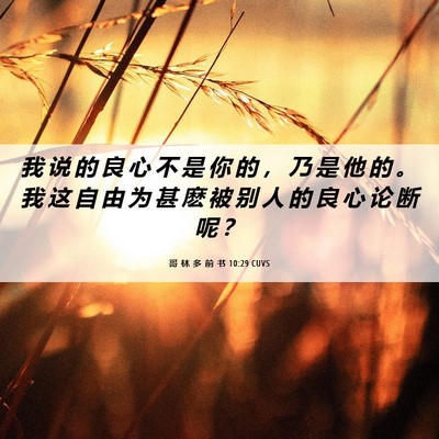 Picture 06 - 哥 林 多 前 书 10:29 CUVS - 我 说 的 良 心 不 是 你 的 ， 乃 是 - Bible Verse Picture