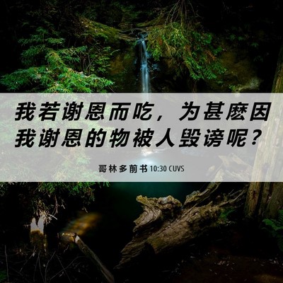 Picture 06 - 哥 林 多 前 书 10:30 CUVS - 我 若 谢 恩 而 吃 ， 为 甚 麽 因 我 - Bible Verse Picture