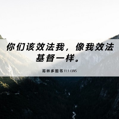 Picture 06 - 哥 林 多 前 书 11:1 CUVS - 你 们 该 效 法 我 ， 像 我 效 法 基 - Bible Verse Picture
